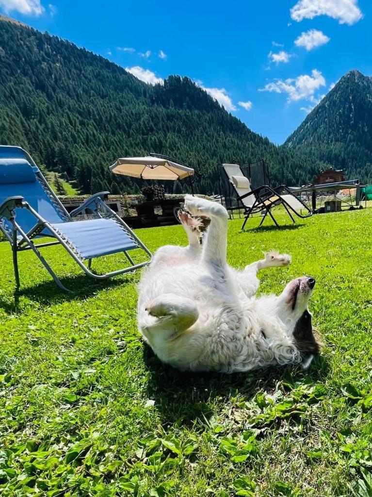 Chalet Sunshine Λιβίνιο Εξωτερικό φωτογραφία